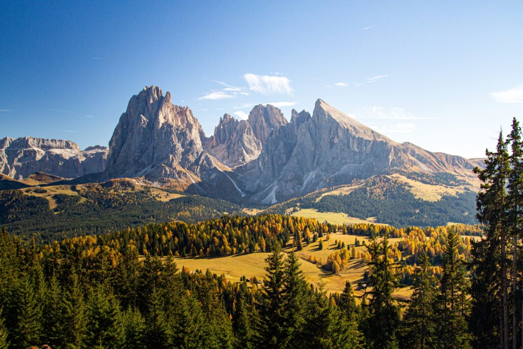place to build a home in the mountains